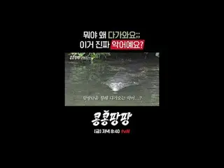 กลุ่มเพื่อนแท้สามคน: อี กวางซู_ X คิมอูบิน_ X โดคยองซู
 การท่องเที่ยวอิสระแบบเม็