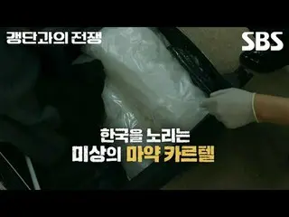 #วัฒนธรรม SBSC #ปราบปรามแก๊ง #ไล่ล่าอาชญากรรมไร้พรมแดน #โชจินอุง #อัยการ #ตำรวจ 