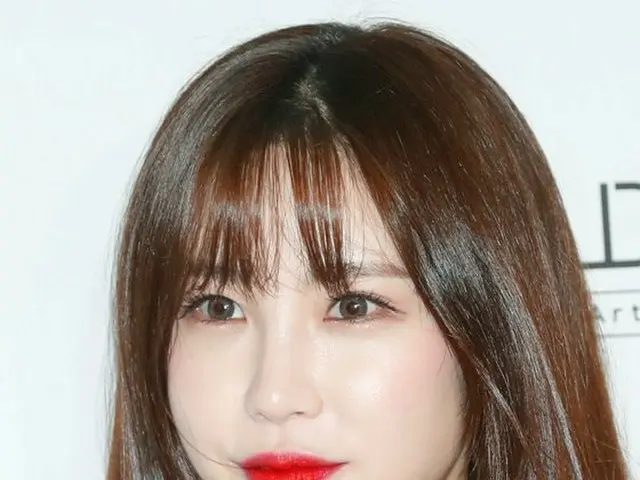 Former Hyosung (Secret), former management office TS Entertainment's exclusivecontract dispute appea