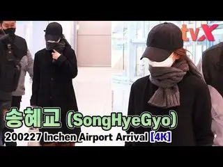 Song Hye-Gyo "การจับกุมครั้งแรกที่สนามบินหลังจากหย่ากับซงจุงกิ"  