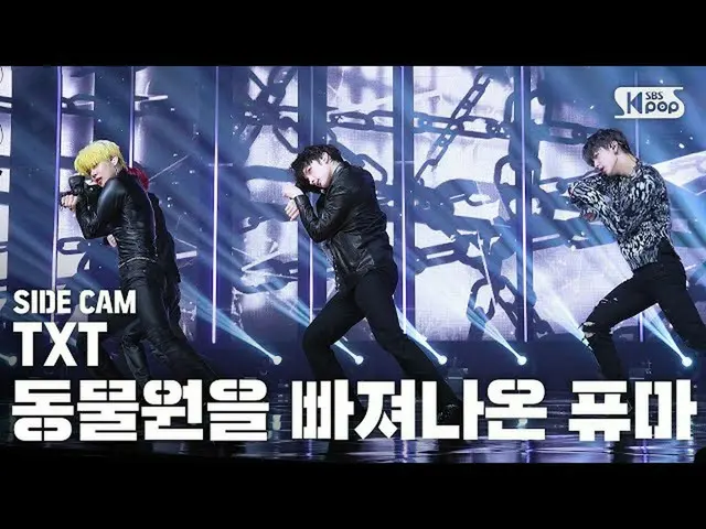 [สูตร sb1] [Sidecam 4K] TXT_ _'Puma หนีออกจากสวนสัตว์ (TXT_ _'PUMA'Side FanCam) 