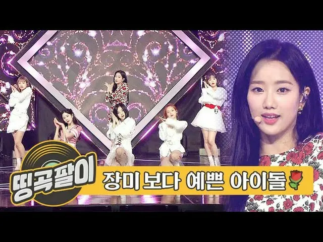 [Formula mbm] ห้องน้ำตาเก่าเป็นไอดอลที่สวยงามยิ่งกว่ากุหลาบ -APRIL_, WJSN_, RedV