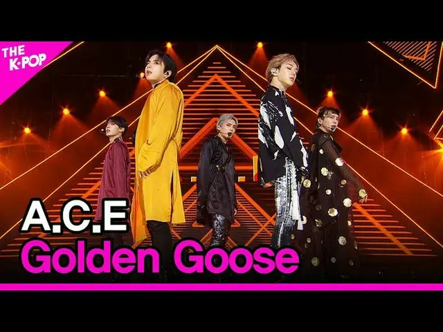 [สูตร sbp] ACE_ _, Golden Goose (ACE_, Golden Goose) [THE SHOW_ _ 200908]  