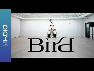 [Formula] Apink วิดีโอฝึกท่าเต้นของ Kim Nam Ju'Bird  
