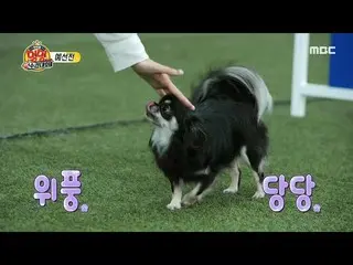 [mbe อย่างเป็นทางการ] [แชมป์สุนัขไอดอลปี 2020] LOVELYZ_ Jisoo จรวดและอวกาศ! หายใ