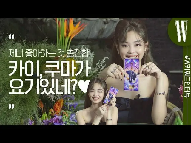 [Official wk] ไคค้นพบหมีและจัดการ์ด _BLACKPINK_ JENNIE? สัมภาษณ์เบื้องต้นเจนนี่เ
