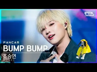 [Formula sb1] [Anbang first-row direct cam 4K] Zhao Chengyong_'BUMP BUMP '(WOODZ