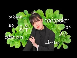 [Jt Officer] CLC, [📺] [ENG] ฉันกินผักชีไม่เก่ง🌿 (TBH .. ฉันไม่ชอบผักชี ... ) ▶