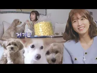 [Formula sbe] "Choding Sister" Lee Cho-hee, Yogo × Moji × Fangdang and a happy p