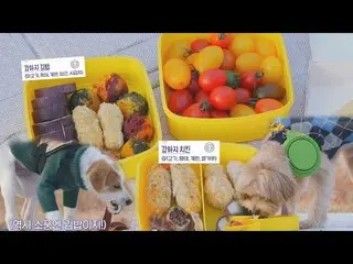 [Formula sbe] Chohee Lee, Yogo × Moji × Fondang dog กล่องอาหารกลางวันพิเศษ★ eauB