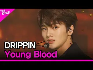 [สูตร sbp] DRIPPIN_ _, Young Blood (DRIPPIN_, Young Blood) [THE SHOW_ _ 210323] 