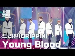 【公式 mbm 】 [Show Champion Cam 4K] DRIPPIN_ （DRIPPIN_ _） - DRIPPIN_ _- Young Blood