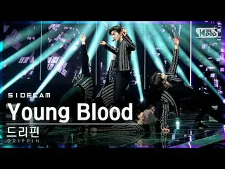 【公式 sb1 】 [사이드캠 4K] DRIPPIN_'Young Blood '（DRIPPIN_ _ Side FanCam） | SBS Inkigay