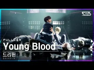 [Formula sb1] [Anbang first-row direct cam 4K] DRIPPIN_'Young Blood'FullCam│ @ S