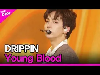 [สูตร sbp] DRIPPIN_ _, Young Blood (DRIPPIN_, Young Blood) [THE SHOW_ _ 210406] 