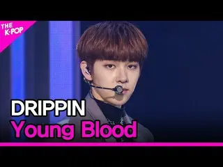 【公式 sbp 】 DRIPPIN_ _， Young Blood （DRIPPIN_， Young Blood） [THE SHOW_ _ 210413]  