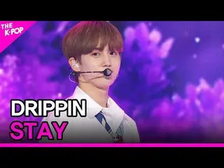 【公式sbp】 DRIPPIN_ _ , STAY (DRIPPIN_ , STAY) [THE SHOW_ _ 210706]  