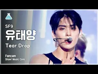 [mbk อย่างเป็นทางการ] [Entertainment Lab 4K] SF9_ _ fancam'Tear Drop' (SF9_ YOO 