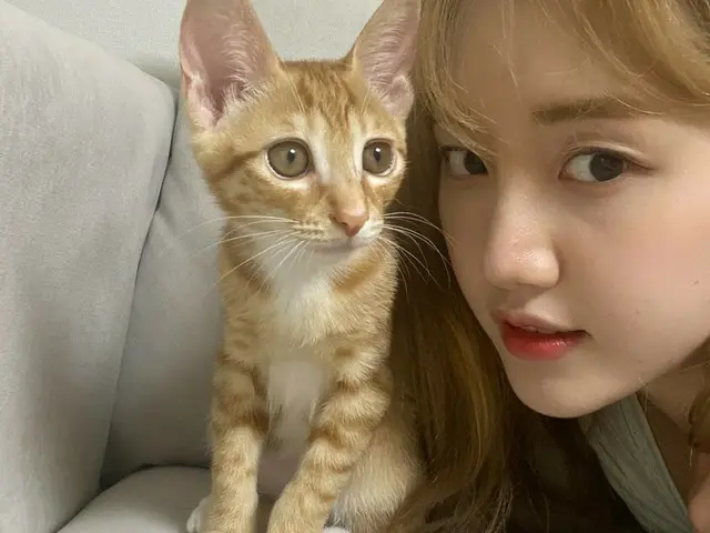 [เป็นทางการ] CherryBullet, [#แฮยุน #แฮยอน] และ นาโต้😌 #CherryBullet #CherryBull