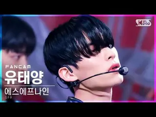 [ Official sb1] [Home Row 1 FanCam 4K] SF9_Sun Willow "Trauma" (SF9_ _TAEYANG Fa