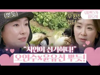 [Officialsbe] 'การสำรวจ Kimjang' โอยอนซู×ยุนยูซอน×ลีคยองมิน×ชาเยรยุน_ ภูมิใจในต้