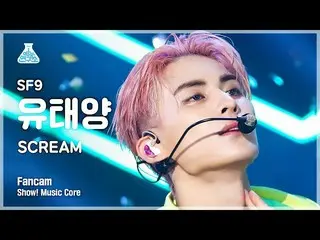 【mbk อย่างเป็นทางการ】[Entertainment Lab] SF9_ _ YOO TAE YANG - SCREAM (SF9_ Yoo 