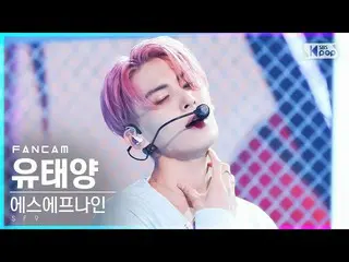 [ Official sb1] [Fancam แถวแรกของ 4K] SF9_ Liu Yang 'SCREAM' (SF9_ _ YOO TAE YAN