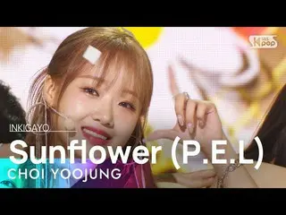 Official sb1】CHOI YOOJUNG(ชอย ยูจอง) - ทานตะวัน (PEL) INKIGAYO_inkigayo 20220918