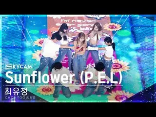 【 sb1 อย่างเป็นทางการ】[Aerial Cam 4K] Yoojung Choi 'Sunflower (PEL)' (CHOI YOOJU