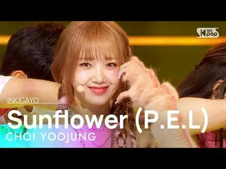 Official sb1】CHOI YOOJUNG(ชอย ยูจอง) - ทานตะวัน (PEL) INKIGAYO_inkigayo 20220925