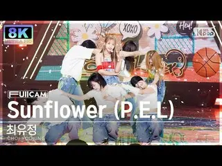 【 sb1 อย่างเป็นทางการ】[SUPER ULTRA 8K] Yoojung Choi 'Sunflower (PEL)' FullCam (C