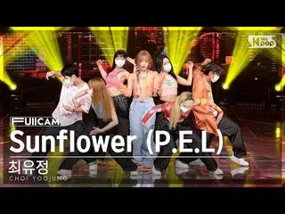 【 sb1 อย่างเป็นทางการ】[Home Room 1 Full Cam 4K] Yoojung Choi 'Sunflower (PEL)' (