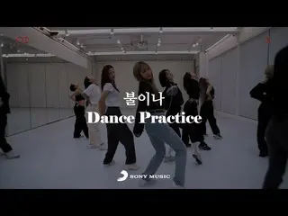 [เป็นทางการ] EXID, EXID – '불이나' Dance Performance Video  
