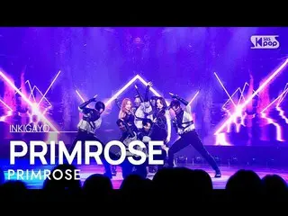 【公式sb1】PRIMROSE_ (프림로즈) - PRIMROSE_ INKIGAYO_ อินกิกาโย 20230115  