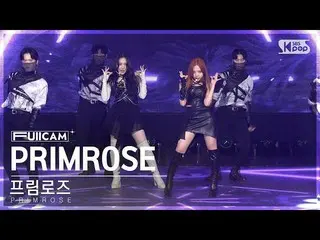 【公式sb1】[โฮมรูม 1 แถวเต็มกล้อง 4K] พริมโรส 'PRIMROSE_' (PRIMROSE_ FullCam)│@SBS I