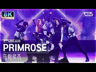 【公式sb1】[SUPER ULTRA 8K] 포림로즈 'PRIMROSE_' 창캠 (PRIMROSE_ FullCam) SBS Inkigayo 230