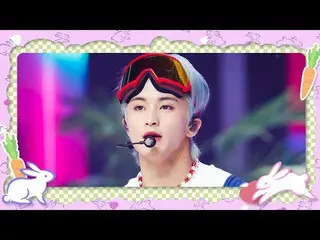 [Formula mnk] [2023 Year of the Rabbit Special] NCT_ _ DREAM_ _ (NCT Dream) - แค