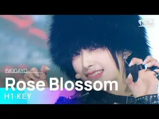 [Official sb1] H1-KEY_ _ (H1-KEY_ ) - Rose Blossom (ดอกกุหลาบบานระหว่างอาคาร) IN