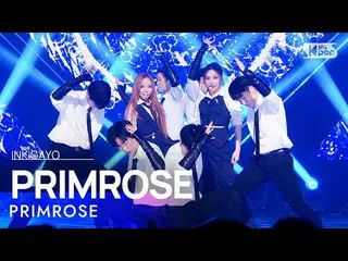 【公式sb1】PRIMROSE_ (프림로즈) - PRIMROSE_ INKIGAYO_ อินกิกาโย 20230205  