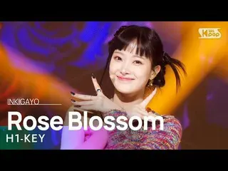 [Official sb1] H1-KEY_ _ (H1-KEY_ ) - Rose Blossom (ดอกกุหลาบบานระหว่างอาคาร) IN