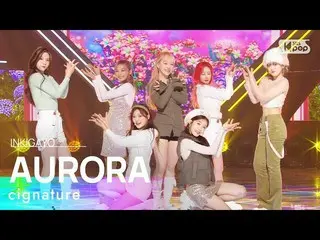 [Formula sb1] cigNATURE_ _ (cigNATURE_ ) - AURORA INKIGAYO_ อินกิกาโย 20230205  