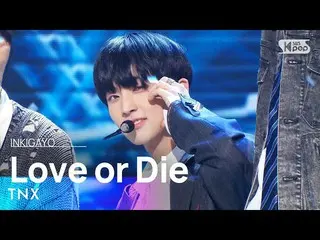 【公式sb1】TNX(해을스) - Love or Die INKIGAYO_ อินกิกาโย 20230226  