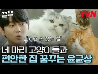 [Official tvn] Cat Butler's House ถือกำเนิดใหม่ในฐานะพื้นที่ในฝันของ Yun KyunSan