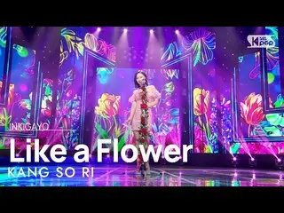 【公式sb1】KANG SO RI(강소리) - Like a Flower(꽃다워) INKIGAYO_ อินกิกาโย 20230319  