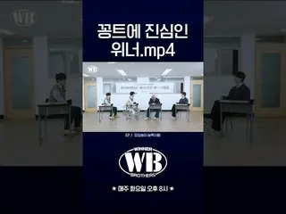 [Official] WINNER, [WINNER BROTHERS] WINNER จริงจังกับเกม.mp4 🎬 คลิปไฮไลท์  