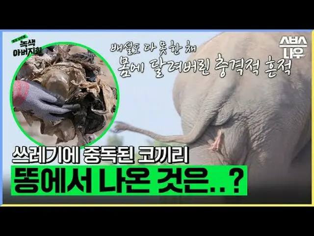 SBS "สามีข้างบ้าน - สมาคมพ่อสีเขียว" ☞ [วันพุธ] ออกอากาศเวลา 22:40 น #SBSEnterta