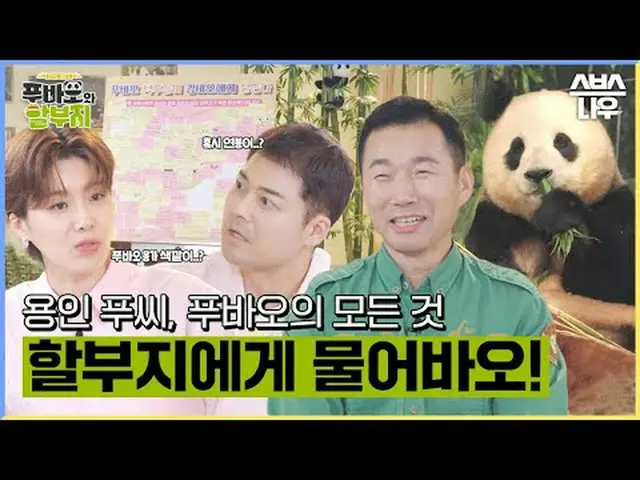 SBS "ประกันสวัสดิการและการผ่อนชำระ" ☞ 【วันพฤหัสบดี】ออกอากาศเวลา 21.00 น #福宝和 แผน