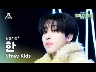 [Gayo Daejejeon #กล้องโปรด] Stray Kids_ _ HAN – TOPLINE (Feat.Tiger JK) (Stray K