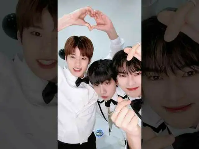 ฉันได้ยินมาว่าคุณชอบ "Cat Eyes Cute"? จะพูดอะไรล่ะ 💖 โง่จริงๆ 🐣🐶🐹💖 #MCountd