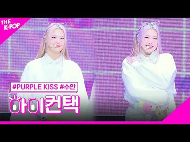#PURPLE KISS_ _ หงส์โฟกัสอย่างตื่นเต้น สวัสดี! สัมผัส #PURPLE KISS_ ที่ซ่อน #สวน